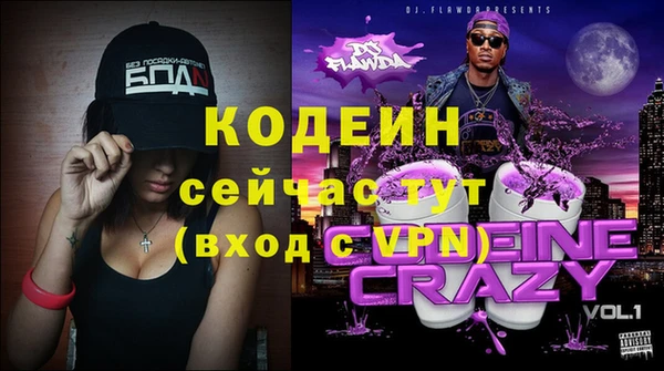 индика Покачи