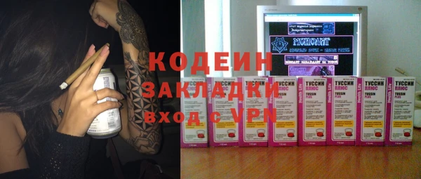 гашик Осинники