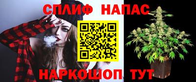 героин Будённовск