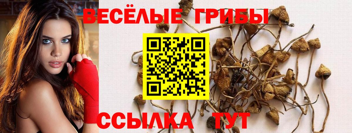 Галлюциногенные грибы GOLDEN TEACHER Ярославль