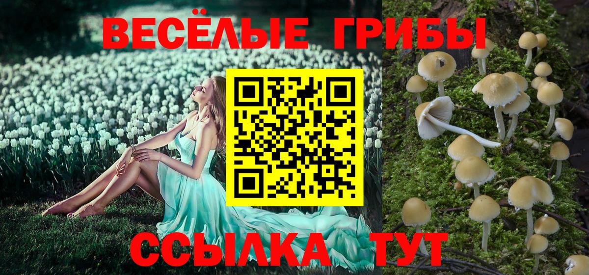 Псилоцибиновые грибы мухоморы  Галлюциногенные грибы мухоморы  Вход с VPN  Ярославль 